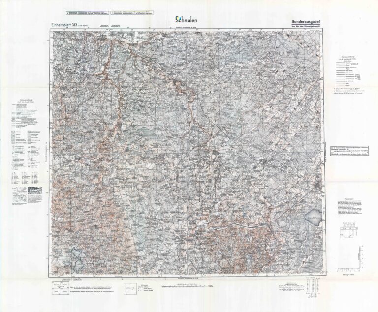 1936 Nr. 313 Schaulen