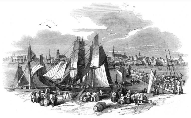 "Riga, from an original painting,"