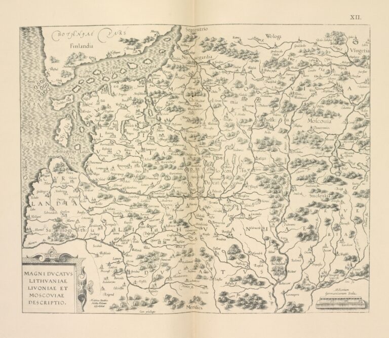 A map of Lithuania by M Strubich